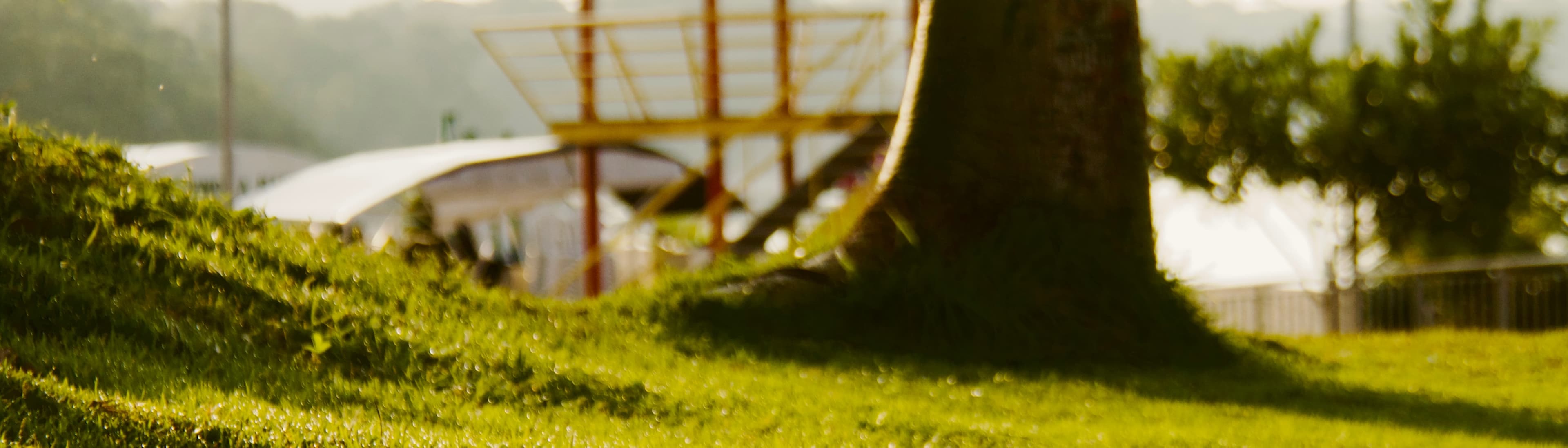 Banner de João Mendes - Mendes Films